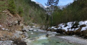 Il Ru di Palcoda