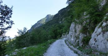 La pista per il Monte Festa