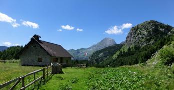 La Casera Pal Grande di Sotto. Sullo sfondo, il Monte Freikofel e la Creta di Collina