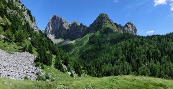 La Creta di Timau dalla radura della Casera Pal Grande di Sotto
