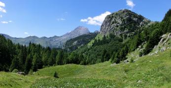 Il Monte Freikofel dalla radura della Casera Pal Grande di Sotto. Sullo sfondo, la Creta di Collina