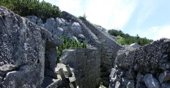 La Trincea Integra