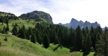 Il Freikofel. Sullo sfondo, la Creta di Timau