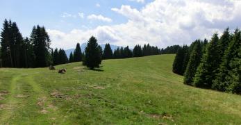La vetta del Monte Vederna