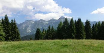 La vetta del Monte Vederna. Sullo sfondo, le Vette Feltrine