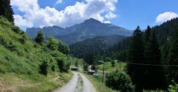 La strada militare verso Morosna. Sullo sfondo, le Vette Feltrine