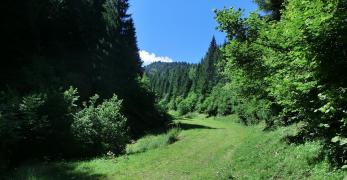 La Val Caora