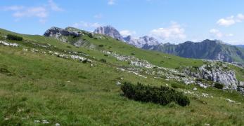 Il crinale del Monte Sterpezza