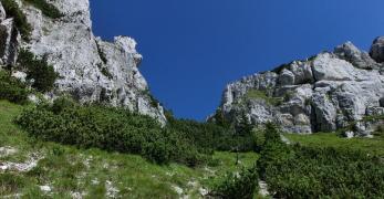 L’intaglio di Forcella Piave