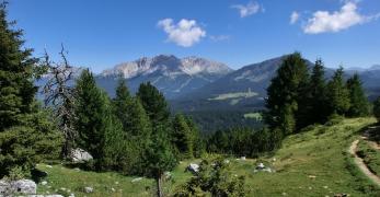 I prati sul versante orientale del Corno Bianco. Sullo sfondo, la Pala di santa e il Latemar
