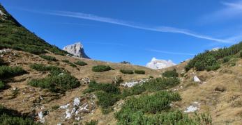 Verso Forcella Lodina