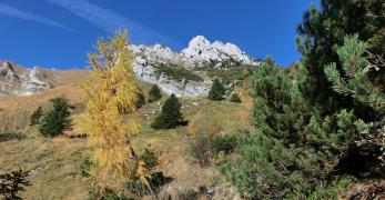 Verso il Pian dei Giai