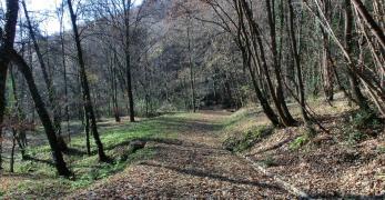 In discesa verso Ragogna