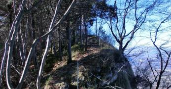 Lungo la cresta del Monte di Ragogna