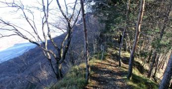 Lungo la cresta del Monte di Ragogna