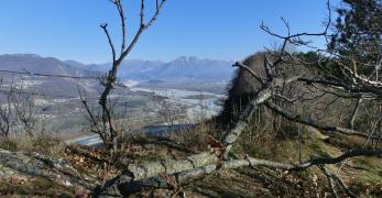 Lungo la cresta del Monte di Ragogna