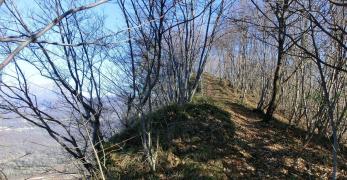 Lungo la cresta del Monte di Ragogna