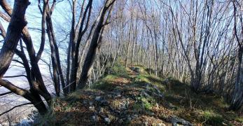 Lungo la cresta del Monte di Ragogna