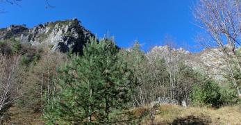 Sulle pendici meridionali del Monte Roppa Buffon