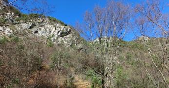 Le pendici orientali del Monte Creto’