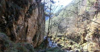 Lungo il sentiero per il Monte Creto’