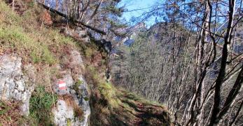 Tratto rettilineo del sentiero per il Monte Creto’