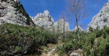 Forcella Bela fra la Torre Campestrin e il Sassolungo di Cibiana