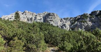 Verso Forcella Bela. Sullo sfondo, il Sassolungo di Cibiana