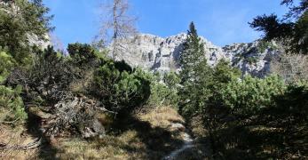 Verso Forcella Bela. Sullo sfondo, il Sassolungo di Cibiana