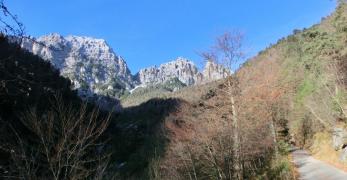 Lungo la Valbona. Sullo sfondo, il Sasso di Bosconero e gli Sfornoi